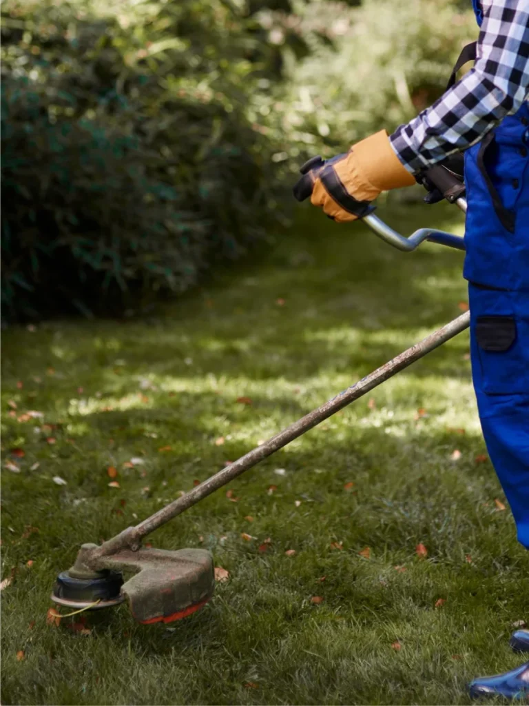 Débroussaillage par un jardinier paysagiste - Jardins de Louhans